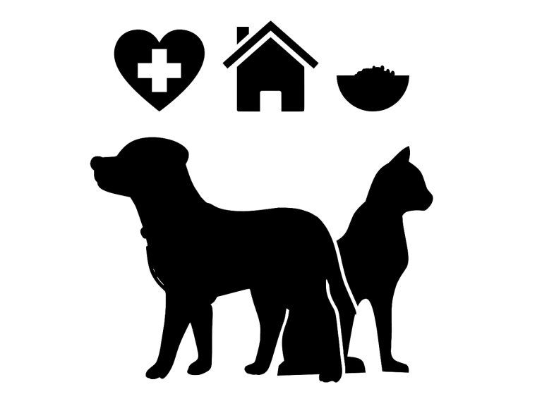 Icon-Tierarzt